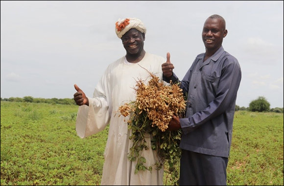 Silatech, QFFD and the UNDP Join Forces to Support Youth Employment and Livelihood Security for Conflict-Affected Populations in Sudan