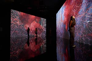 Northwestern University in Qatar's Media Majlis Museum, in partnership with ACMI, announces 'All That Is Unseen' by Marshmallow Laser Feast — the acclaimed artist collective's firs
